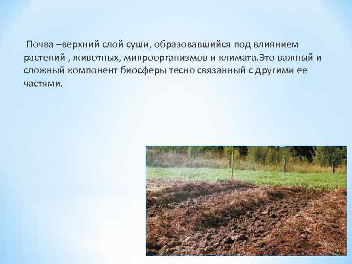  Почва –верхний слой суши, образовавшийся под влиянием растений , животных, микроорганизмов и климата.