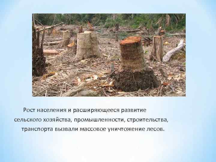  Рост населения и расширяющееся развитие сельского хозяйства, промышленности, строительства, транспорта вызвали массовое уничтожение