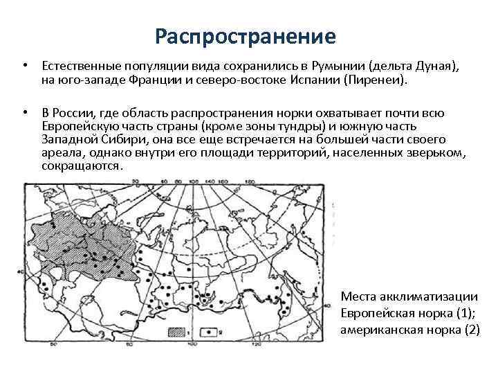 Распространение • Естественные популяции вида сохранились в Румынии (дельта Дуная), на юго-западе Франции и