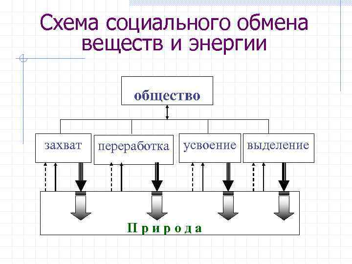 Схема социального обмена веществ и энергии общество захват переработка усвоение выделение Природа 