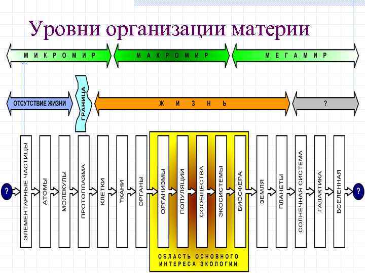 Уровни организации материи 