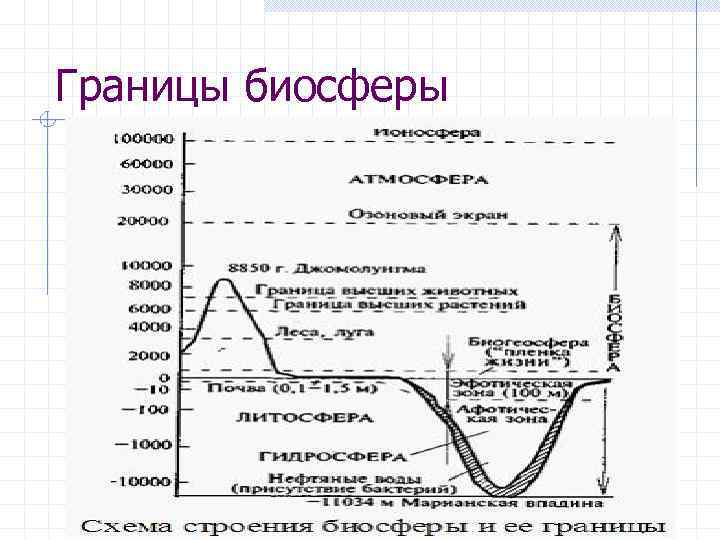 Нарисуй схему границы биосферы покажите штриховкой область земли в которой существует жизнь 6 класс