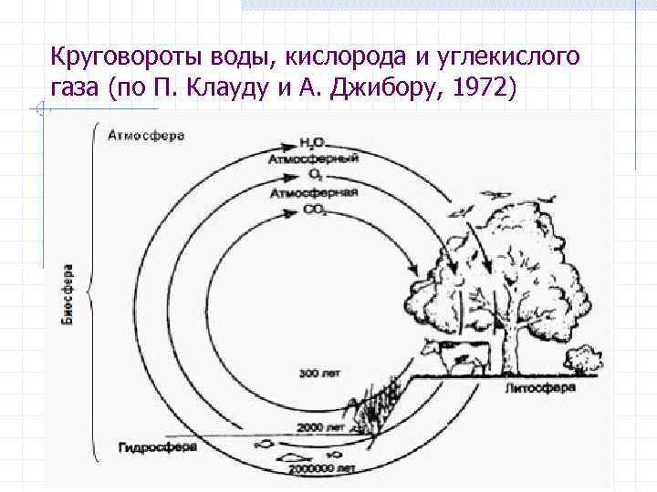 Круговороты воды, кислорода и углекислого газа (по П. Клауду и А. Джибору, 1972) 