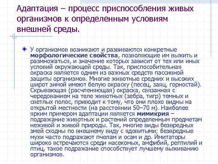 Адаптация – процесс приспособления живых организмов к определенным условиям внешней среды. У организмов возникают