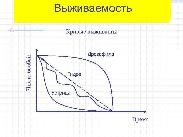 Особые кривые