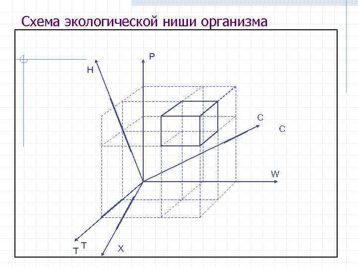 Схема экологической ниши организма Р Н C С W T T X 