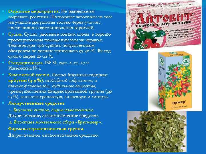  Охранные мероприятия. Не разрешается вырывать растения. Повторные заготовки на том же участке допустимы