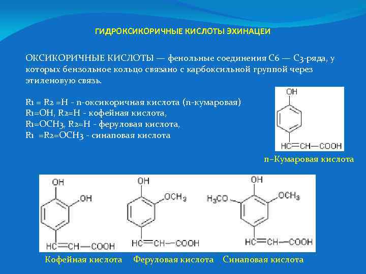 ГИДРОКСИКОРИЧНЫЕ КИСЛОТЫ ЭХИНАЦЕИ ОКСИКОРИЧНЫЕ КИСЛОТЫ — фенольные соединения С 6 — С 3 -ряда,
