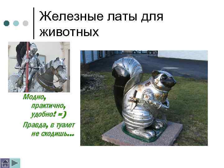 Железные латы для животных Модно, практично, удобно! =) Правда, в туалет не сходишь… 