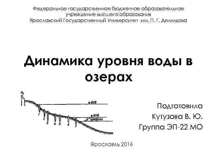 Федеральное государственное бюджетное образовательное учреждение высшего образования Ярославский Государственный Университет им. П. Г. Демидова