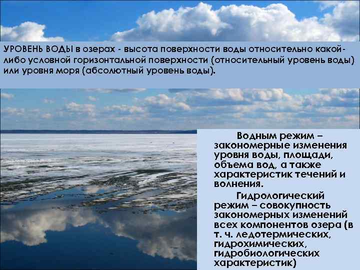 Водяные относительное