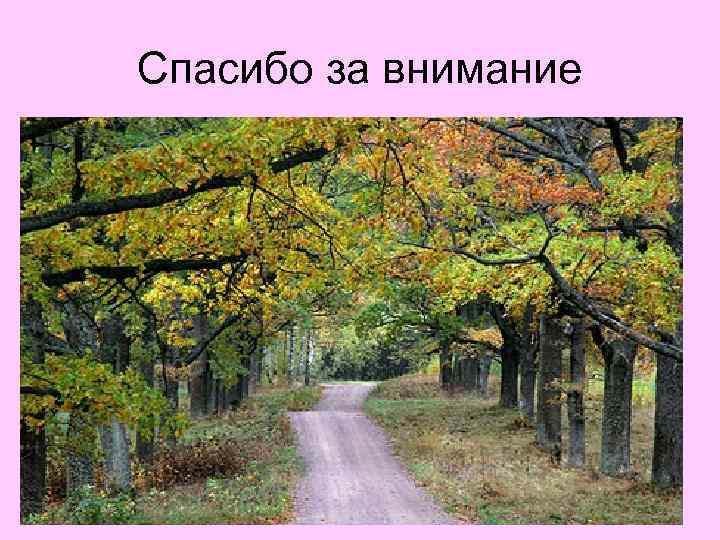 Спасибо за внимание 