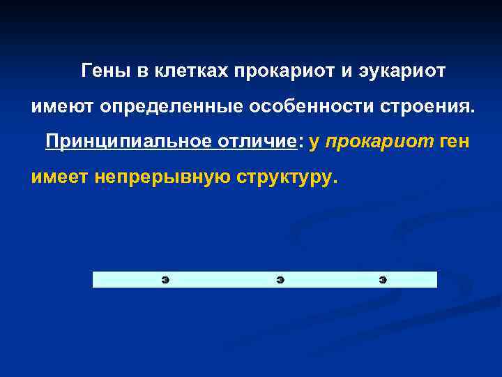 Гены в клетках прокариот и эукариот имеют определенные особенности строения. Принципиальное отличие: у прокариот