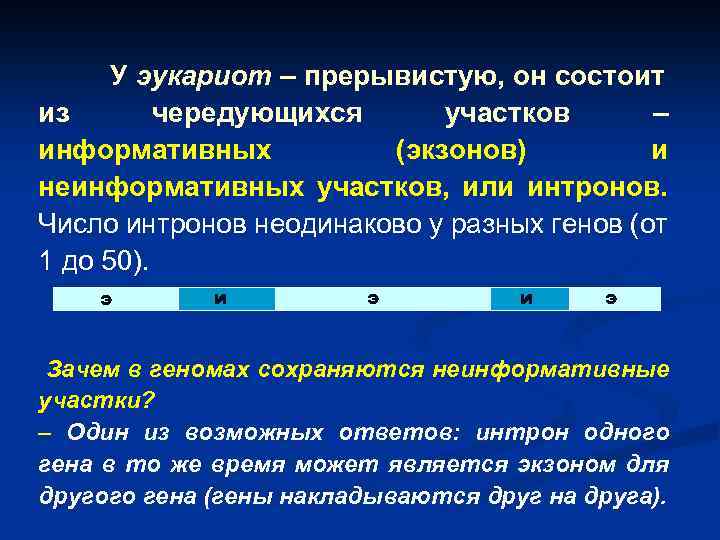 У эукариот – прерывистую, он состоит из чередующихся участков – информативных (экзонов) и неинформативных