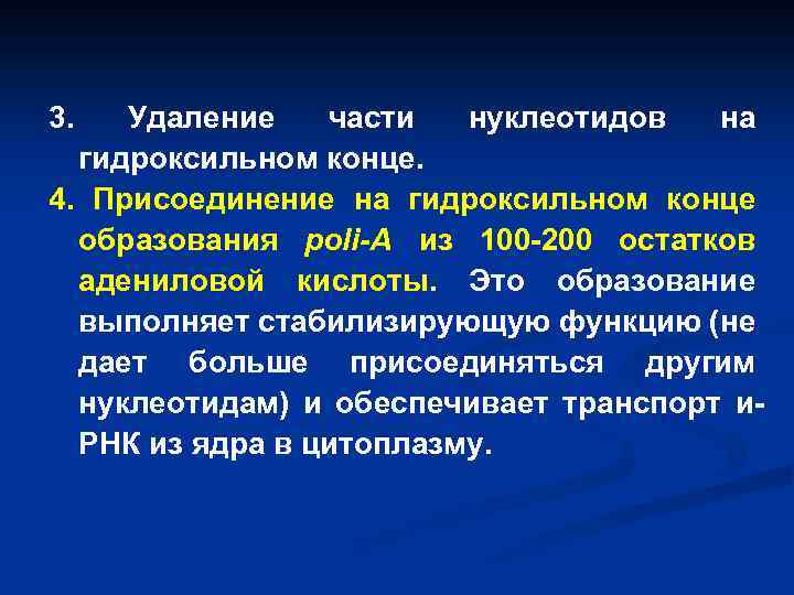 3. Удаление части нуклеотидов на гидроксильном конце. 4. Присоединение на гидроксильном конце образования poli-А