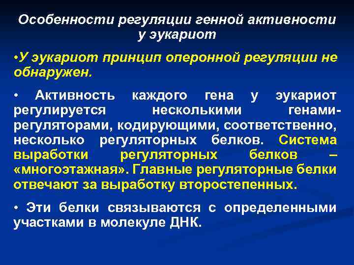 Особенности регуляции генной активности у эукариот • У эукариот принцип оперонной регуляции не обнаружен.