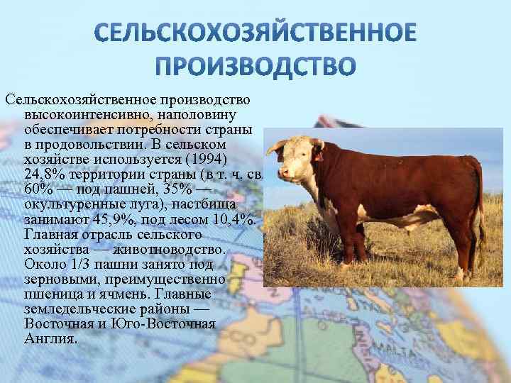 СЕЛЬСКОХОЗЯЙСТВЕННОЕ ПРОИЗВОДСТВО Сельскохозяйственное производство высокоинтенсивно, наполовину обеспечивает потребности страны в продовольствии. В сельском хозяйстве