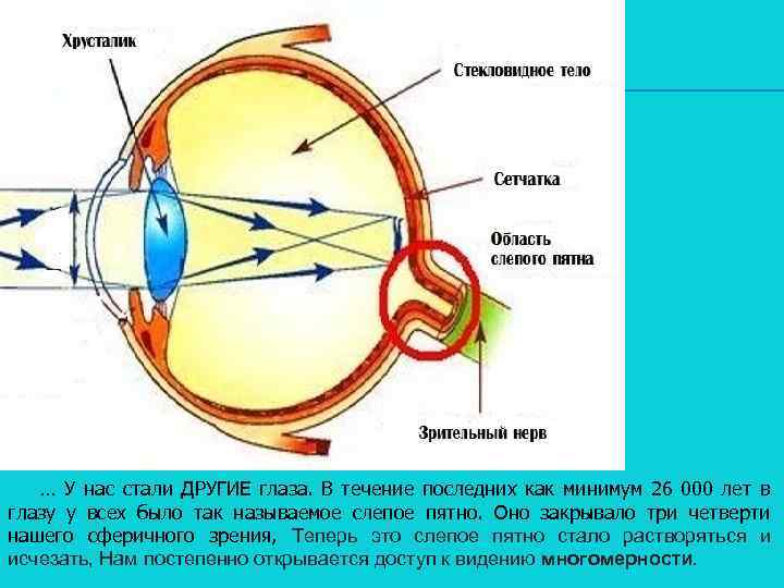 … У нас стали ДРУГИЕ глаза. В течение последних как минимум 26 000 лет