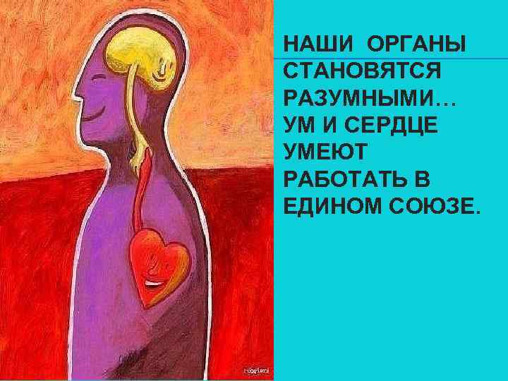 НАШИ ОРГАНЫ СТАНОВЯТСЯ РАЗУМНЫМИ… УМ И СЕРДЦЕ УМЕЮТ РАБОТАТЬ В ЕДИНОМ СОЮЗЕ. 