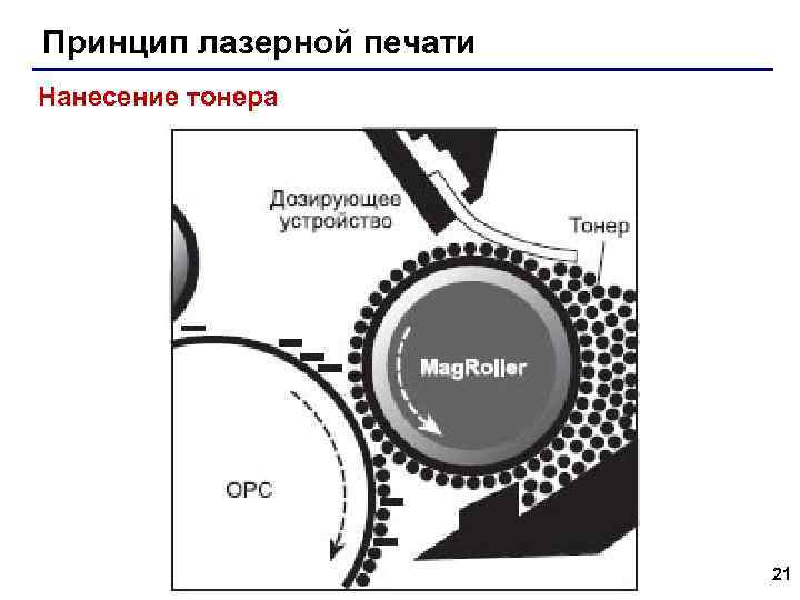 Принцип лазерной печати Нанесение тонера 21 