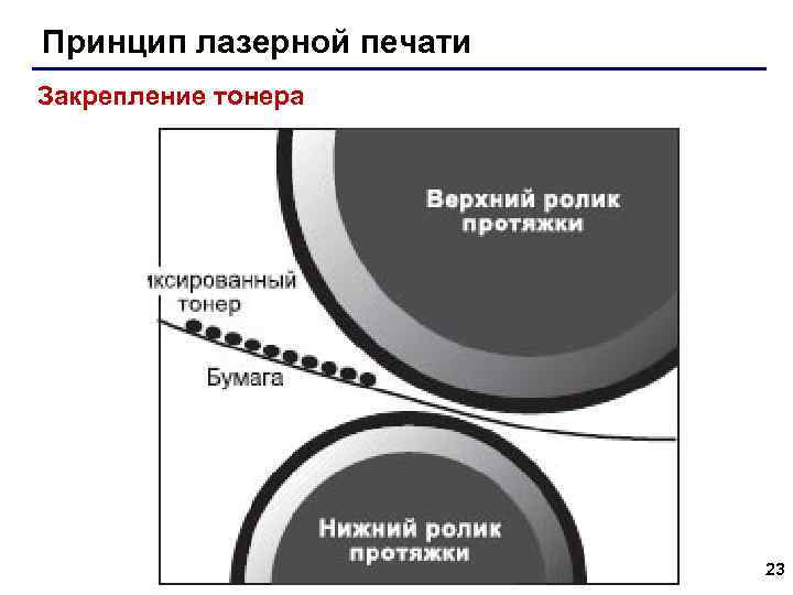 Принцип лазерной печати Закрепление тонера 23 