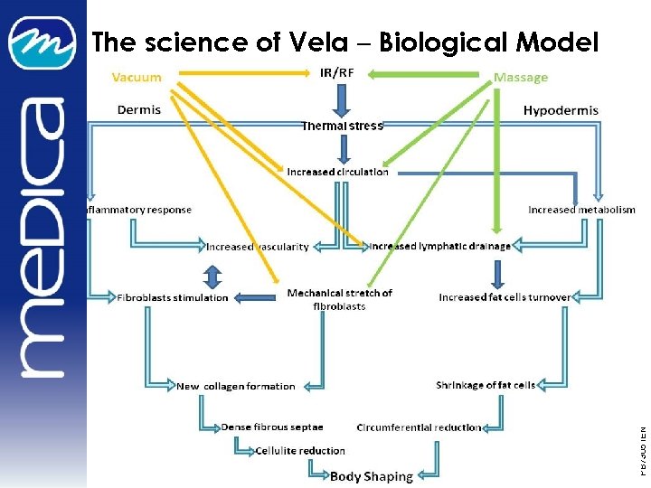 PB 73051 EN The science of Vela – Biological Model 