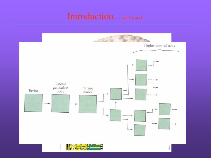 Introduction - continued 