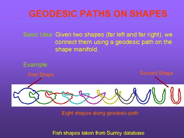 GEODESIC PATHS ON SHAPES Basic Idea: Given two shapes (far left and far right),
