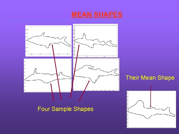MEAN SHAPES Their Mean Shape Four Sample Shapes 