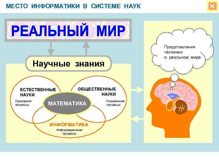 МЕСТО ИНФОРМАТИКИ В СИСТЕМЕ НАУК Представления человека о реальном мире Научные знания ЕСТЕСТВЕННЫЕ НАУКИ