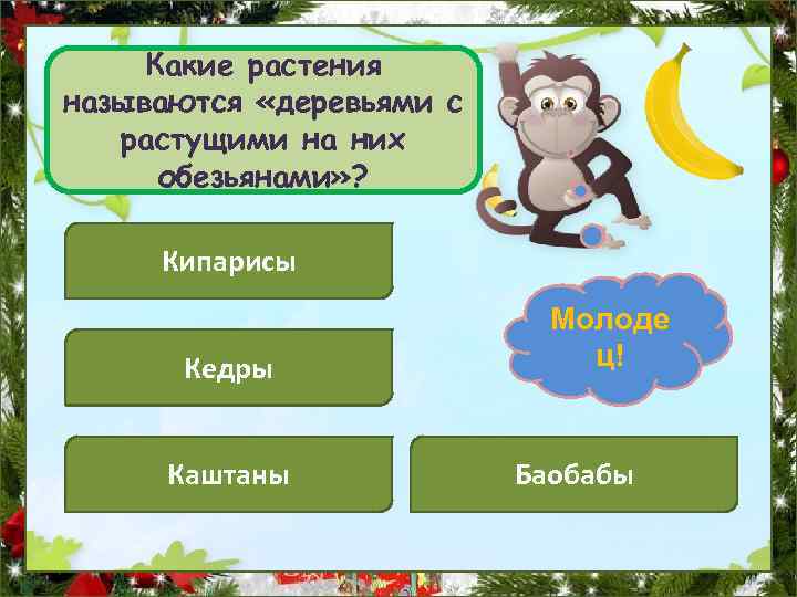 Какие растения называются «деревьями с растущими на них обезьянами» ? Кипарисы Кедры Каштаны Подума