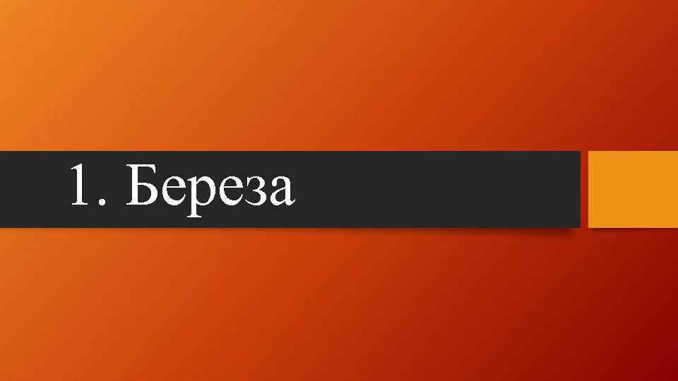 1. Береза 