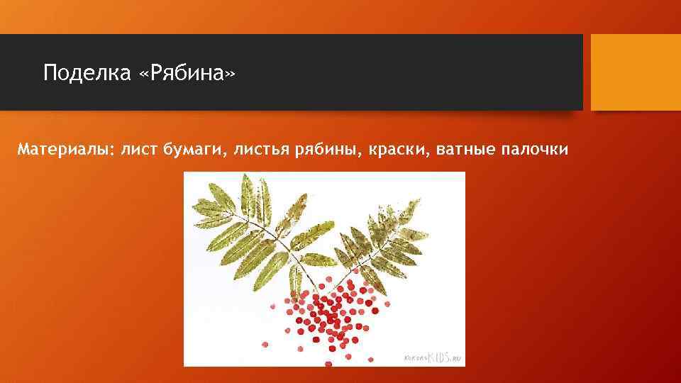 Поделка «Рябина» Материалы: лист бумаги, листья рябины, краски, ватные палочки 