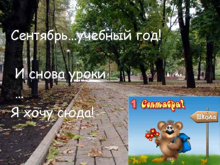Сентябрь…учебный год! И снова уроки … Я хочу сюда! 