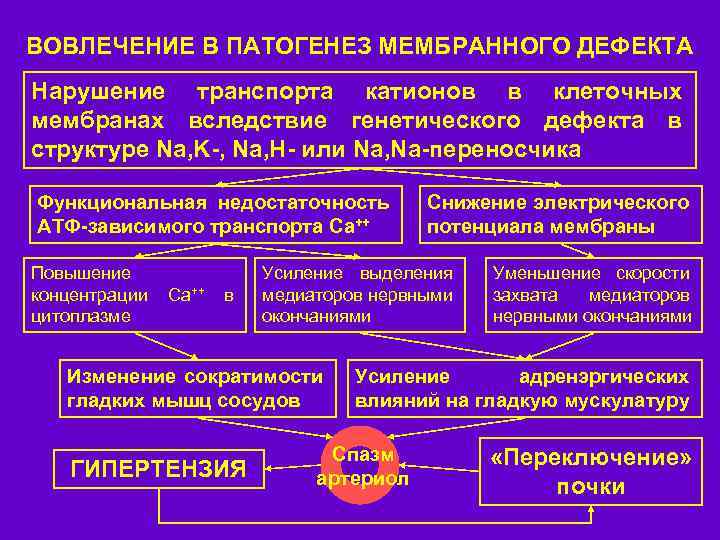 ВОВЛЕЧЕНИЕ В ПАТОГЕНЕЗ МЕМБРАННОГО ДЕФЕКТА Нарушение транспорта катионов в клеточных мембранах вследствие генетического дефекта