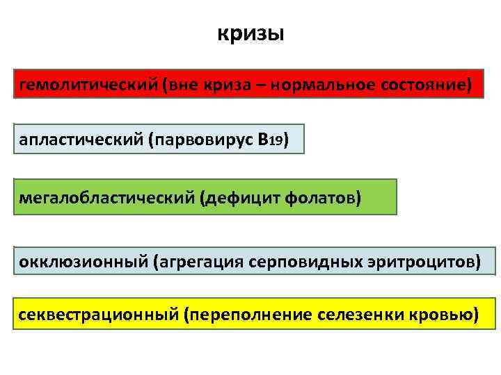 кризы гемолитический (вне криза – нормальное состояние) апластический (парвовирус В 19) мегалобластический (дефицит фолатов)