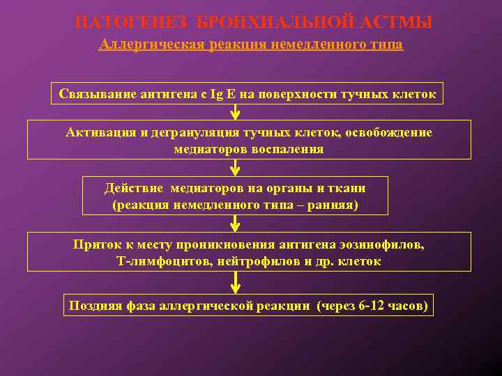 ПАТОГЕНЕЗ БРОНХИАЛЬНОЙ АСТМЫ Аллергическая реакция немедленного типа Связывание антигена с Ig Е на поверхности
