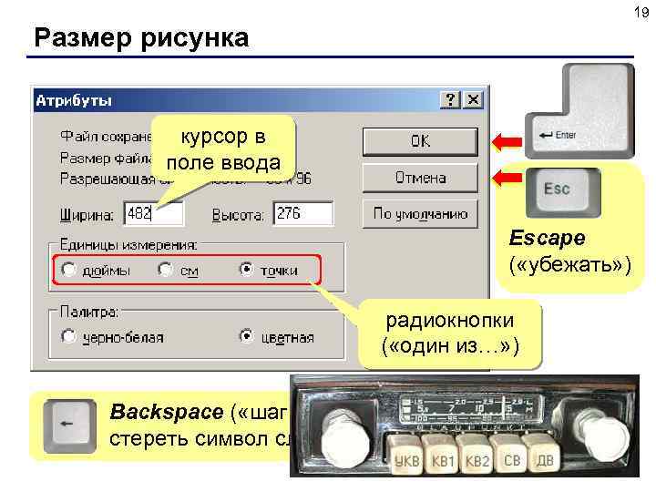 19 Размер рисунка курсор в поле ввода Escape ( «убежать» ) радиокнопки ( «один