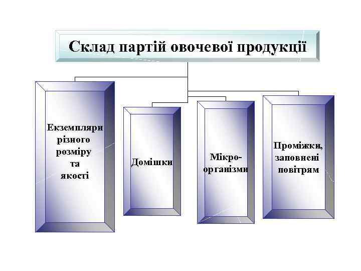 Склад партій овочевої продукції Екземпляри різного розміру та якості Домішки Мікроорганізми Проміжки, заповнені повітрям