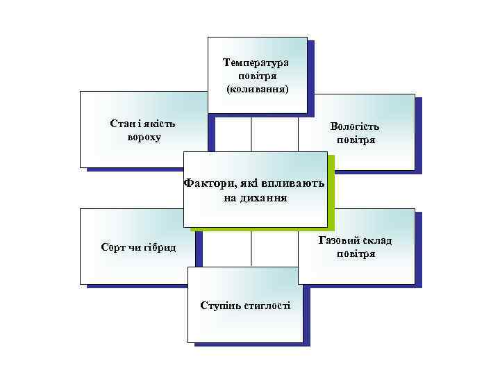 Температура повітря (коливання) Стан і якість вороху Вологість повітря Фактори, які впливають на дихання