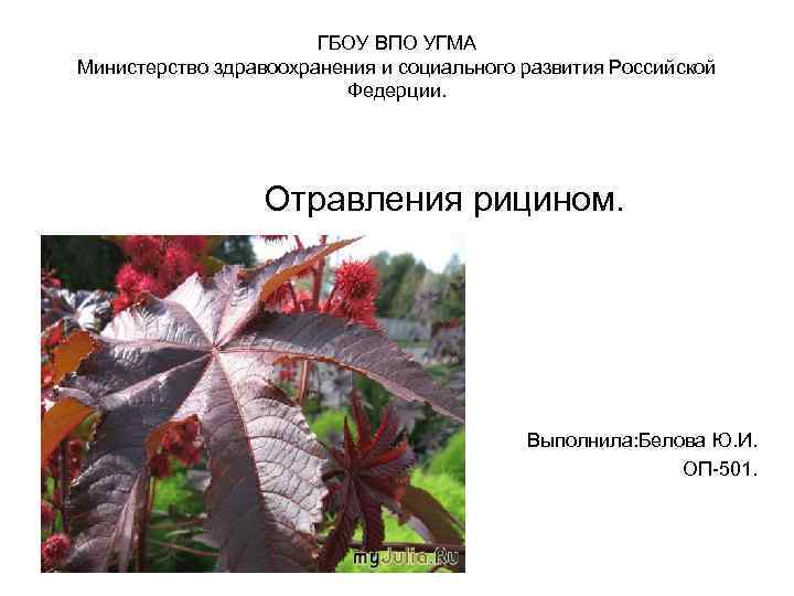 ГБОУ ВПО УГМА Министерство здравоохранения и социального развития Российской Федерции. Отравления рицином. Выполнила: Белова