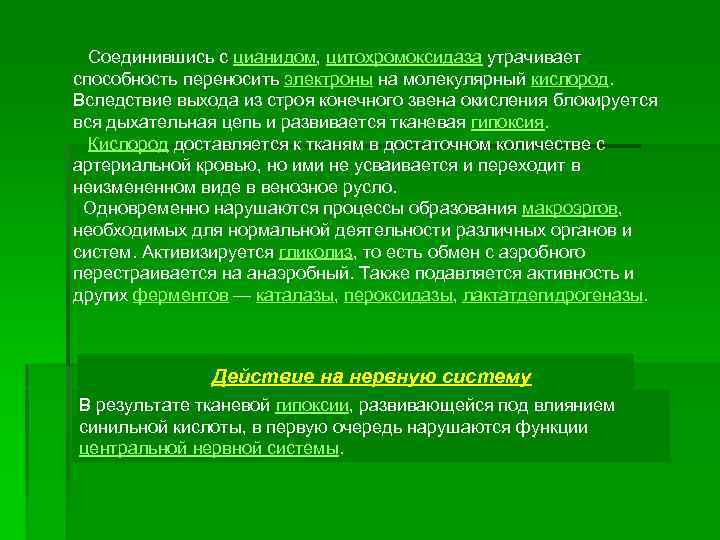  Соединившись с цианидом, цитохромоксидаза утрачивает способность переносить электроны на молекулярный кислород. Вследствие выхода