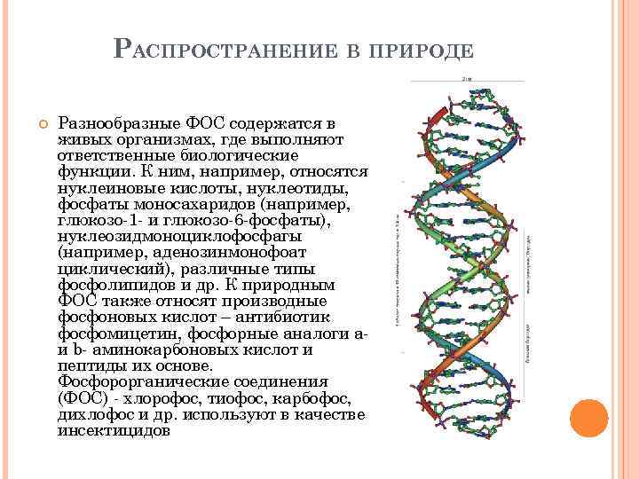 РАСПРОСТРАНЕНИЕ В ПРИРОДЕ Разнообразные ФОС содержатся в живых организмах, где выполняют ответственные биологические функции.