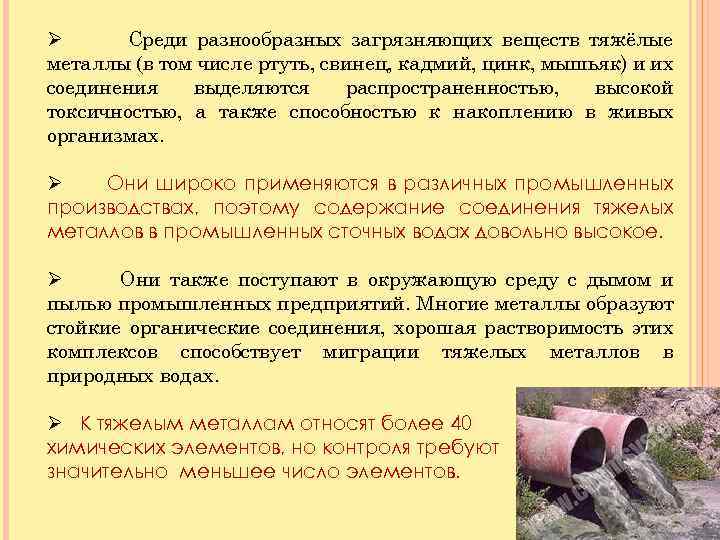 Ø Среди разнообразных загрязняющих веществ тяжёлые металлы (в том числе ртуть, свинец, кадмий, цинк,