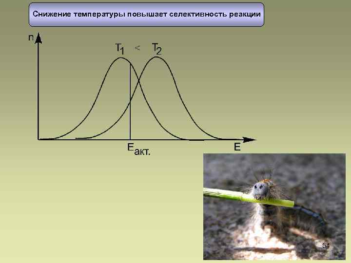 Снижение температуры повышает селективность реакции 54 