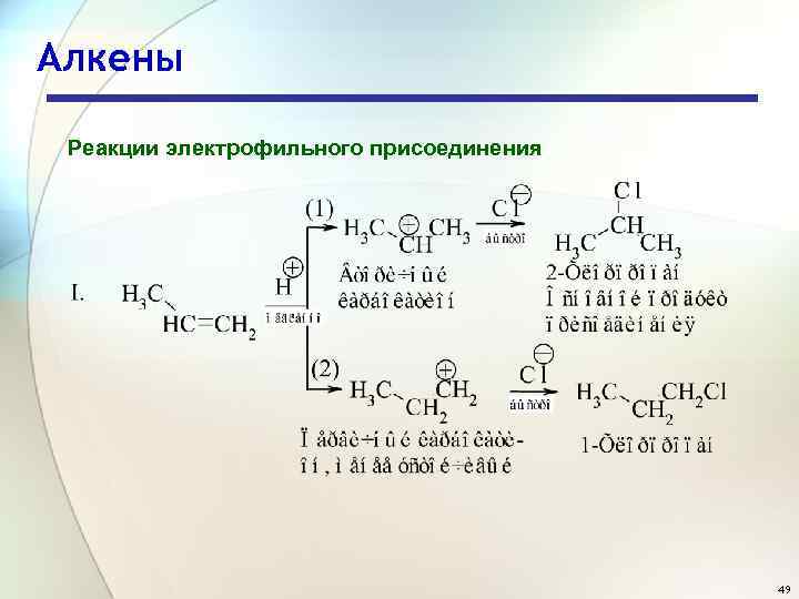 Алкены Реакции электрофильного присоединения 49 