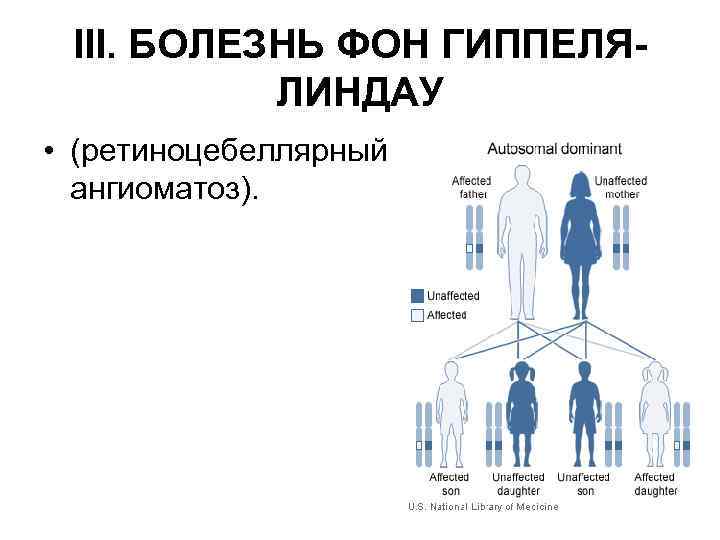 III. БОЛЕЗНЬ ФОН ГИППЕЛЯЛИНДАУ • (ретиноцебеллярный ангиоматоз). 