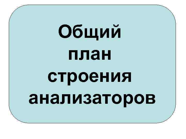 Общий план строения анализаторов 