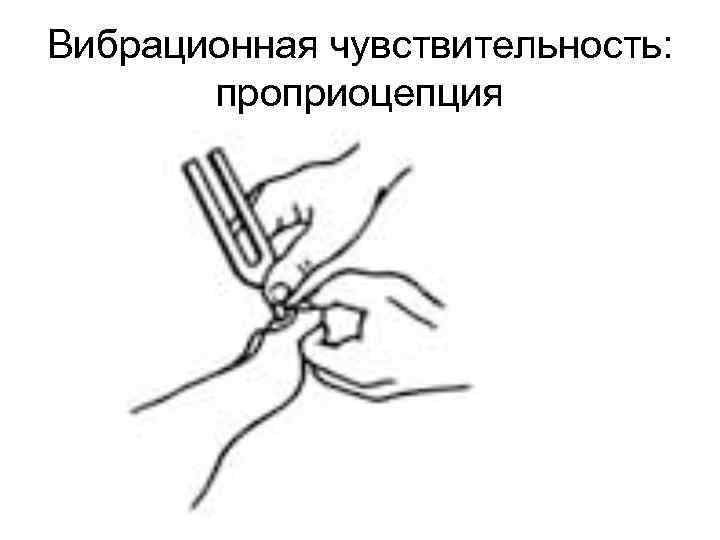 Вибрационная чувствительность: проприоцепция 