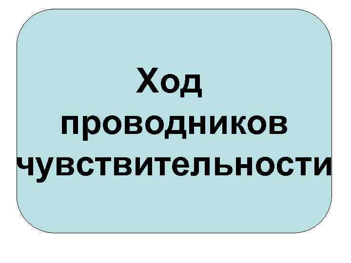 Ход проводников чувствительности 